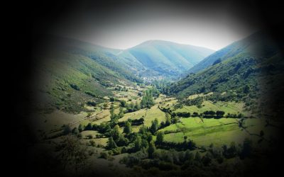 EL GLAUCOMA PUEDE SER HEREDITARIO