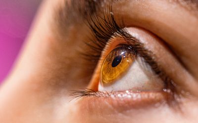 LOS OJOS COMO RESERVORIO